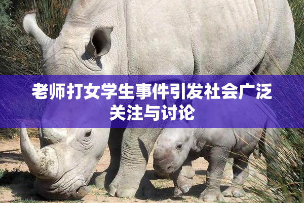 老师打女学生事件引发社会广泛关注与讨论