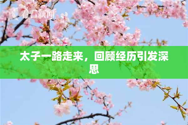 太子一路走来，回顾经历引发深思