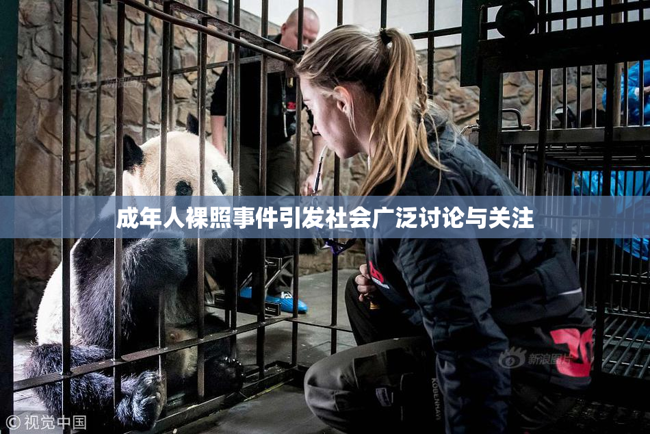 成年人裸照事件引发社会广泛讨论与关注