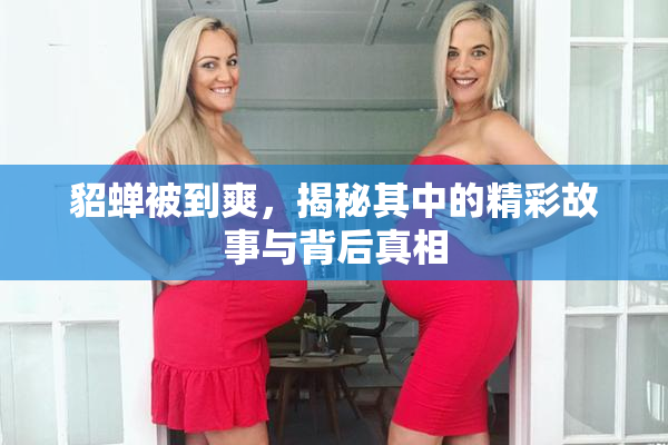 貂蝉被到爽，揭秘其中的精彩故事与背后真相