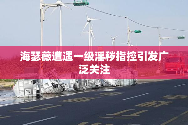 海瑟薇遭遇一级淫秽指控引发广泛关注