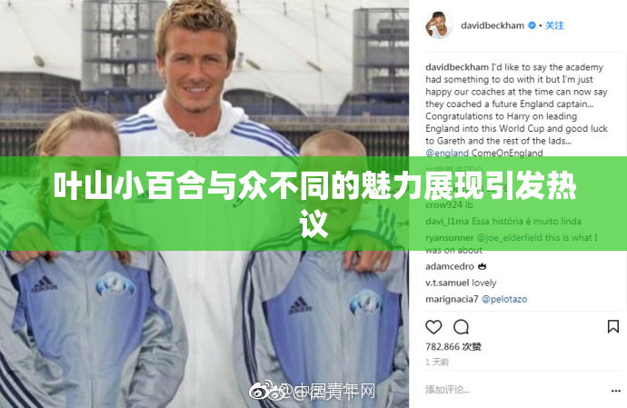 叶山小百合与众不同的魅力展现引发热议