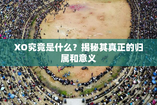 XO究竟是什么？揭秘其真正的归属和意义