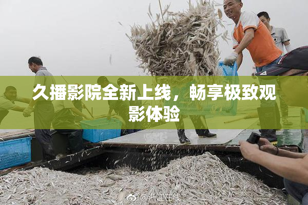 久播影院全新上线，畅享极致观影体验