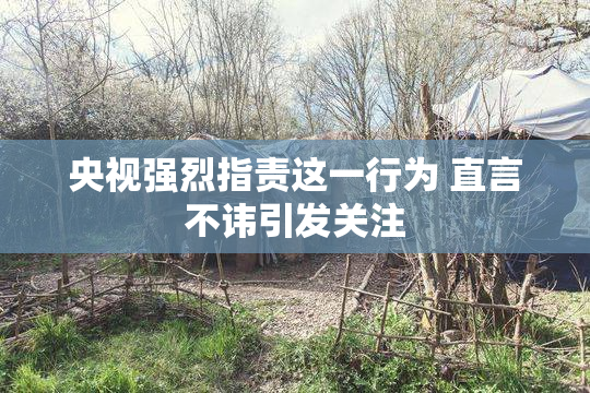 央视强烈指责这一行为 直言不讳引发关注