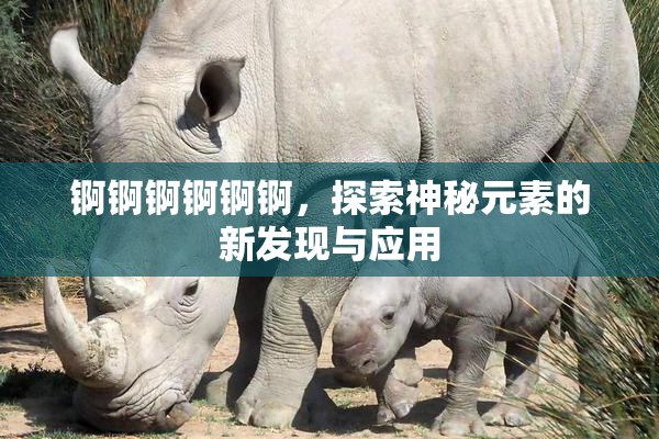 锕锕锕锕锕锕，探索神秘元素的新发现与应用