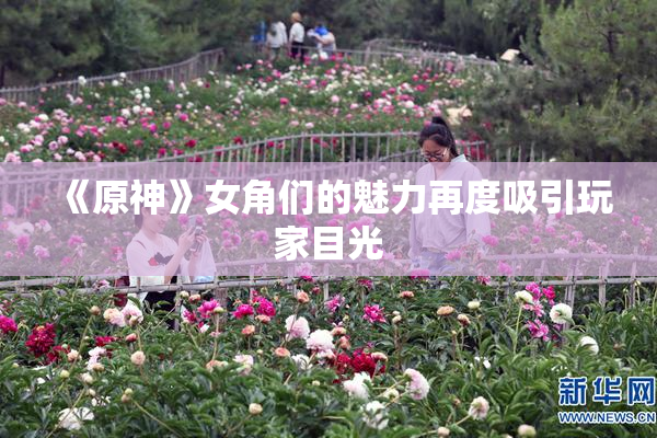 《原神》女角们的魅力再度吸引玩家目光