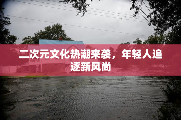 二次元文化热潮来袭，年轻人追逐新风尚