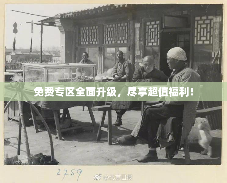 免费专区全面升级，尽享超值福利！