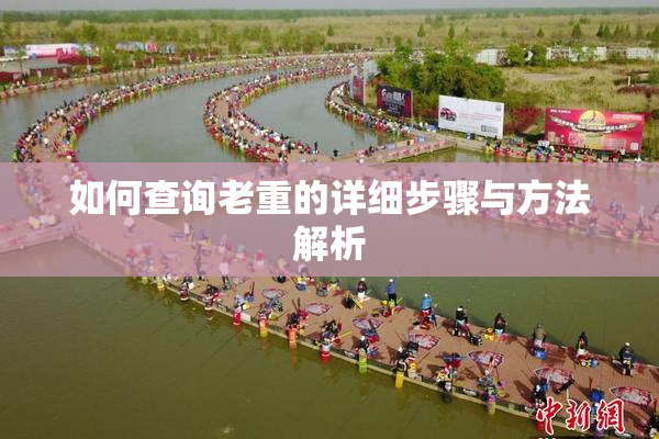 如何查询老重的详细步骤与方法解析