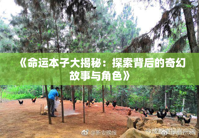 《命运本子大揭秘：探索背后的奇幻故事与角色》