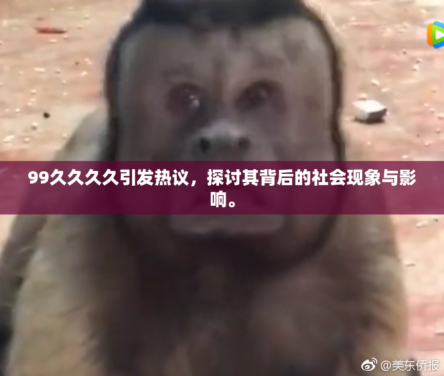 99久久久久引发热议，探讨其背后的社会现象与影响。