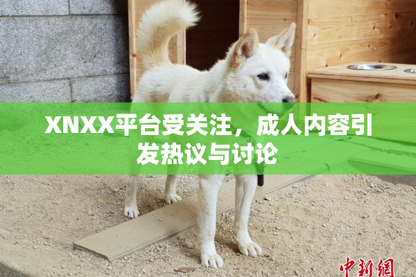 XNXX平台受关注，成人内容引发热议与讨论