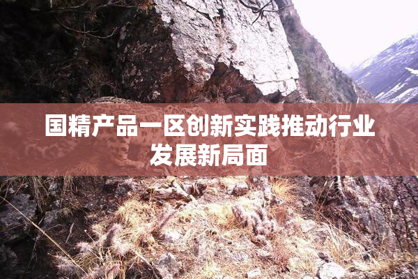 国精产品一区创新实践推动行业发展新局面