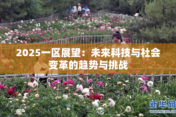 2025一区展望：未来科技与社会变革的趋势与挑战