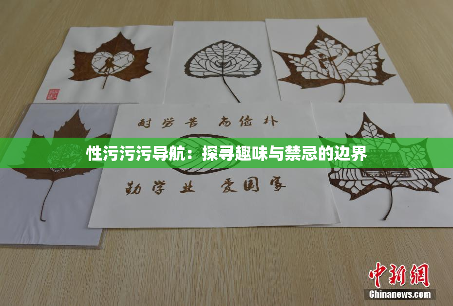 性污污污导航：探寻趣味与禁忌的边界