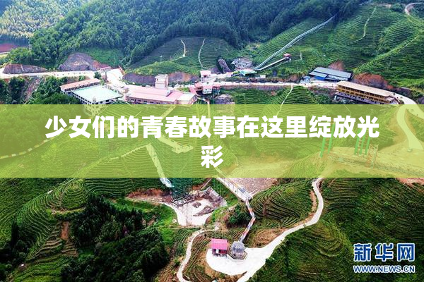 少女们的青春故事在这里绽放光彩