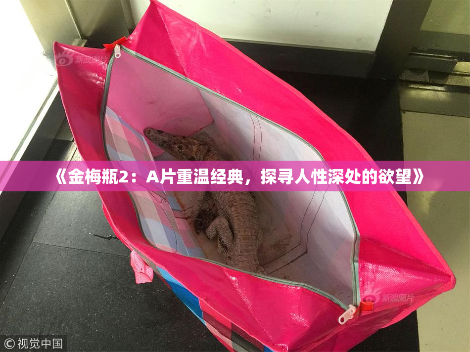 《金梅瓶2：A片重温经典，探寻人性深处的欲望》