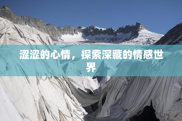 涩涩的心情，探索深藏的情感世界