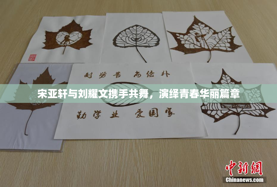宋亚轩与刘耀文携手共舞，演绎青春华丽篇章