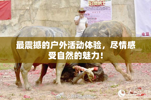 最震撼的户外活动体验，尽情感受自然的魅力！