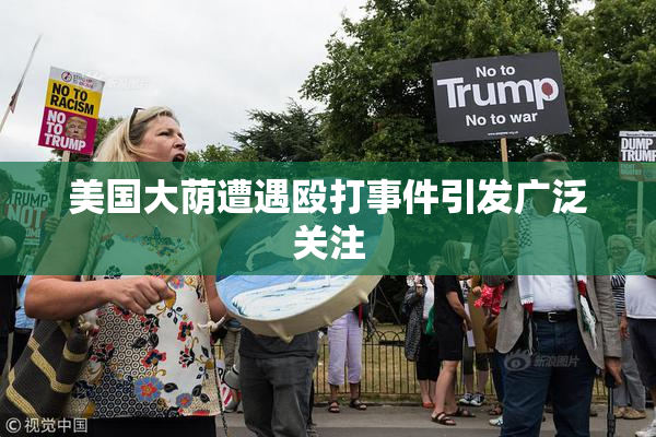 美国大荫遭遇殴打事件引发广泛关注