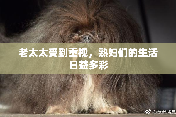 老太太受到重视，熟妇们的生活日益多彩