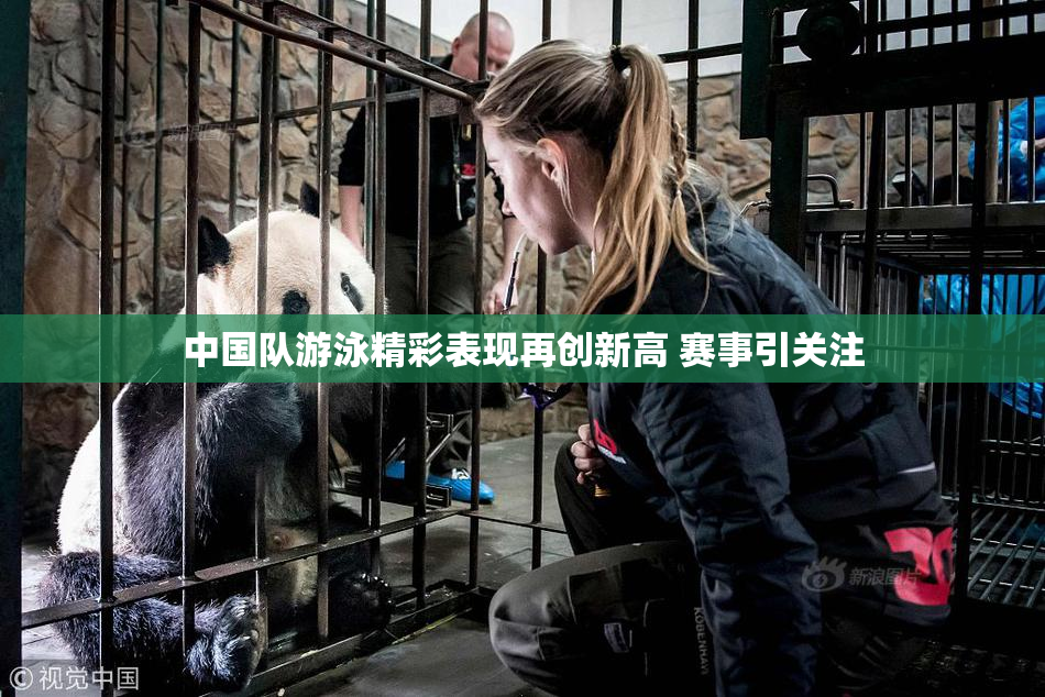 中国队游泳精彩表现再创新高 赛事引关注