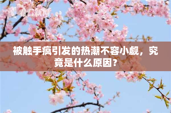 被触手疯引发的热潮不容小觑，究竟是什么原因？