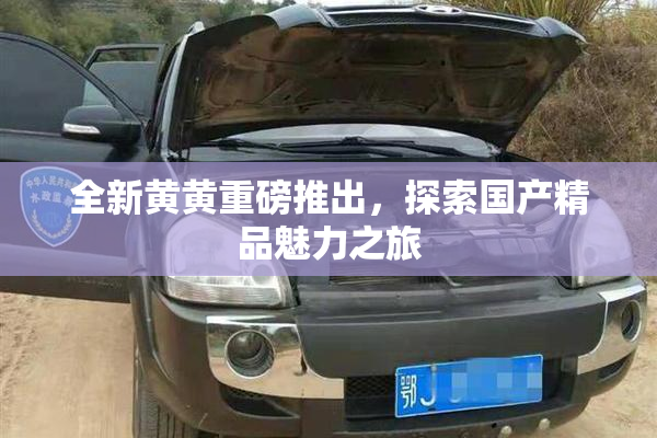 全新黄黄重磅推出，探索国产精品魅力之旅