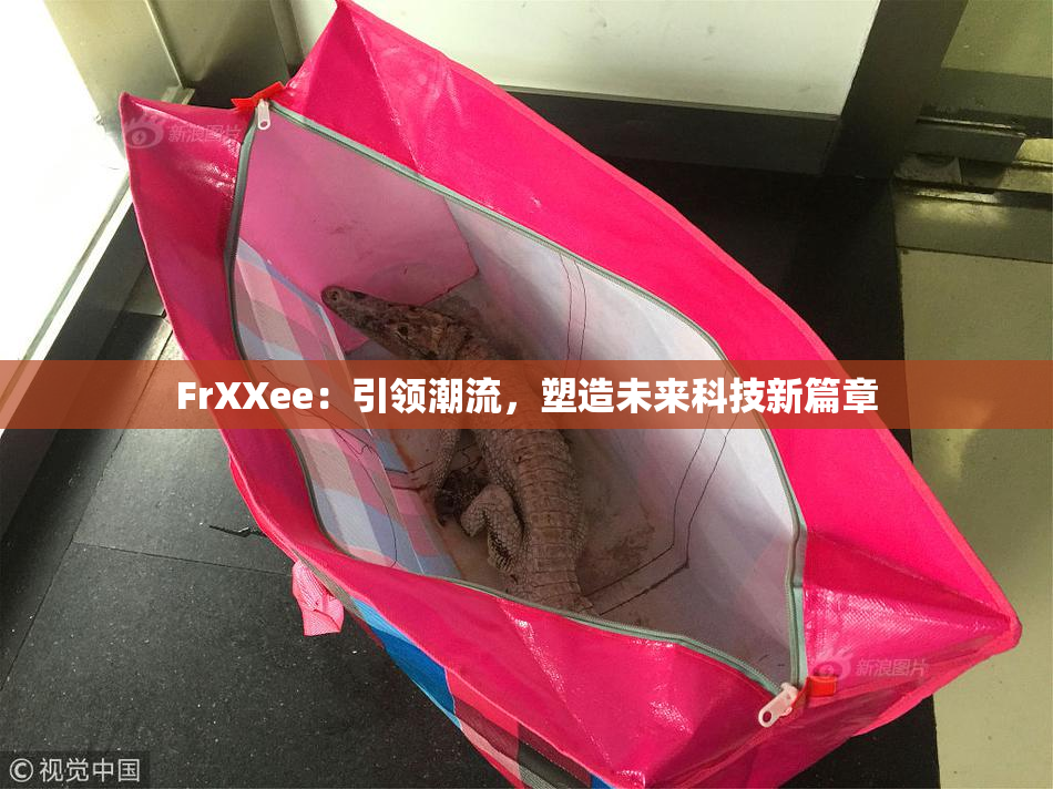 FrXXee：引领潮流，塑造未来科技新篇章