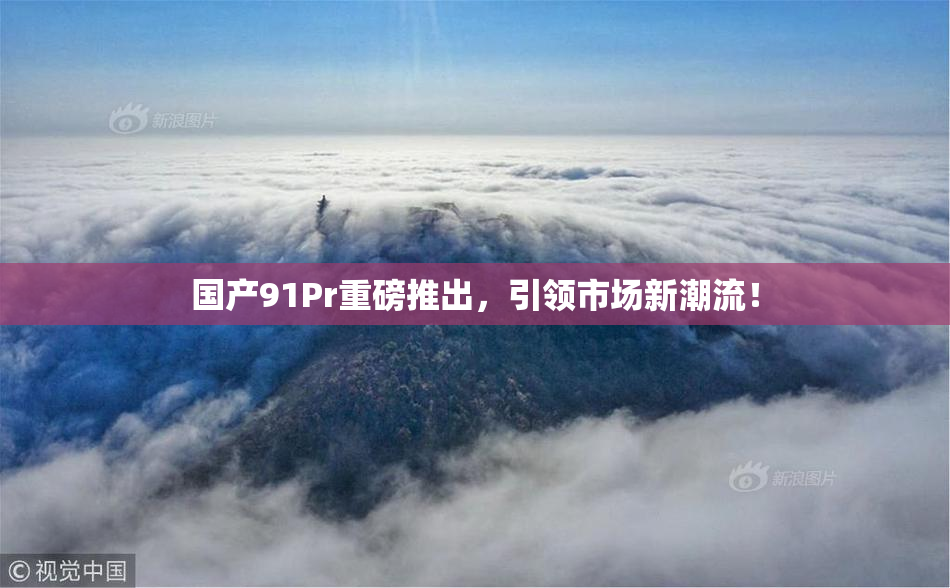 国产91Pr重磅推出，引领市场新潮流！