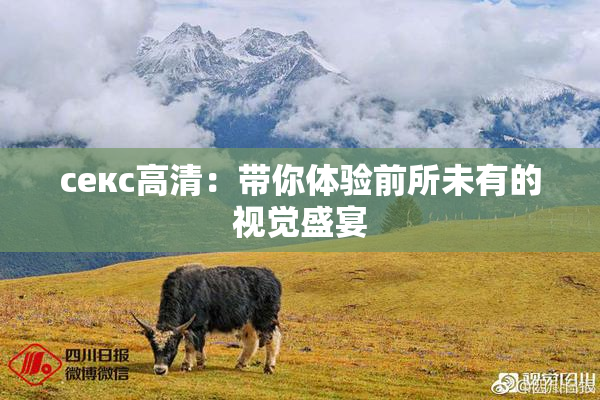 ceкс高清：带你体验前所未有的视觉盛宴