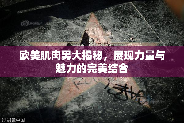 欧美肌肉男大揭秘，展现力量与魅力的完美结合