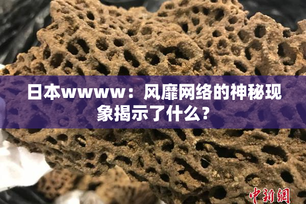 日本wwww：风靡网络的神秘现象揭示了什么？