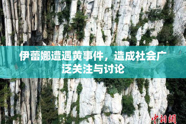 伊蕾娜遭遇黄事件，造成社会广泛关注与讨论