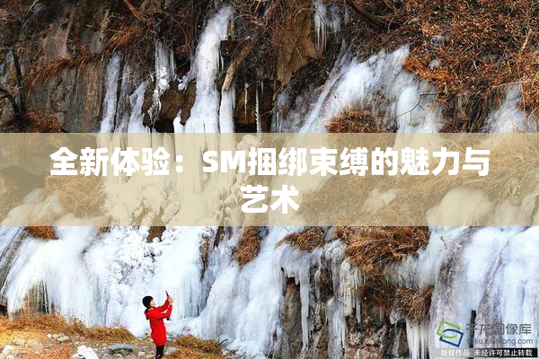 全新体验：SM捆绑束缚的魅力与艺术