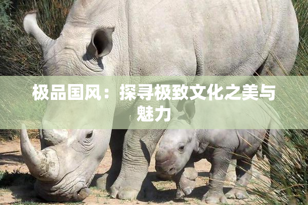极品国风：探寻极致文化之美与魅力