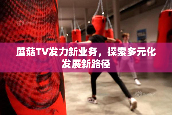 蘑菇TV发力新业务，探索多元化发展新路径