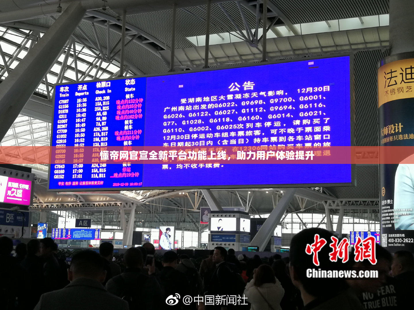 懂帝网官宣全新平台功能上线，助力用户体验提升