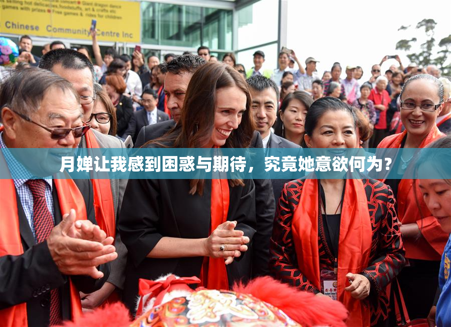 月婵让我感到困惑与期待，究竟她意欲何为？