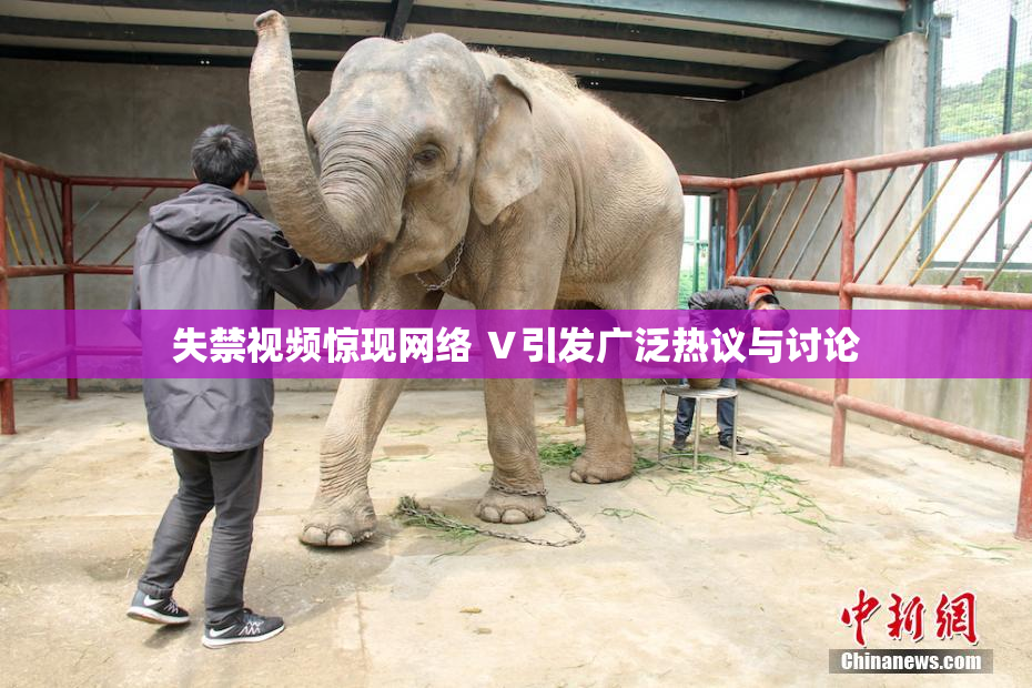 失禁视频惊现网络 Ⅴ引发广泛热议与讨论