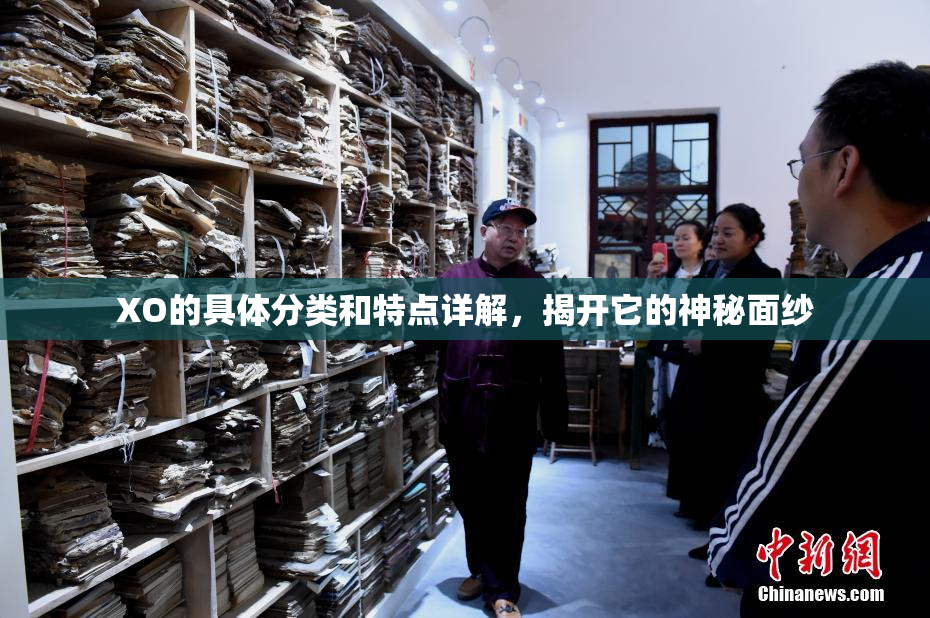 XO的具体分类和特点详解，揭开它的神秘面纱