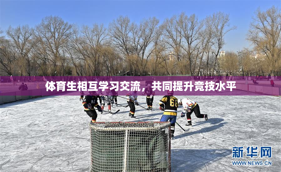 体育生相互学习交流，共同提升竞技水平