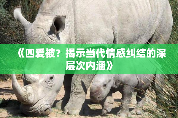 《四爱被？揭示当代情感纠结的深层次内涵》