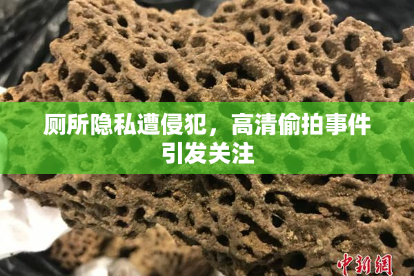 厕所隐私遭侵犯，高清偷拍事件引发关注