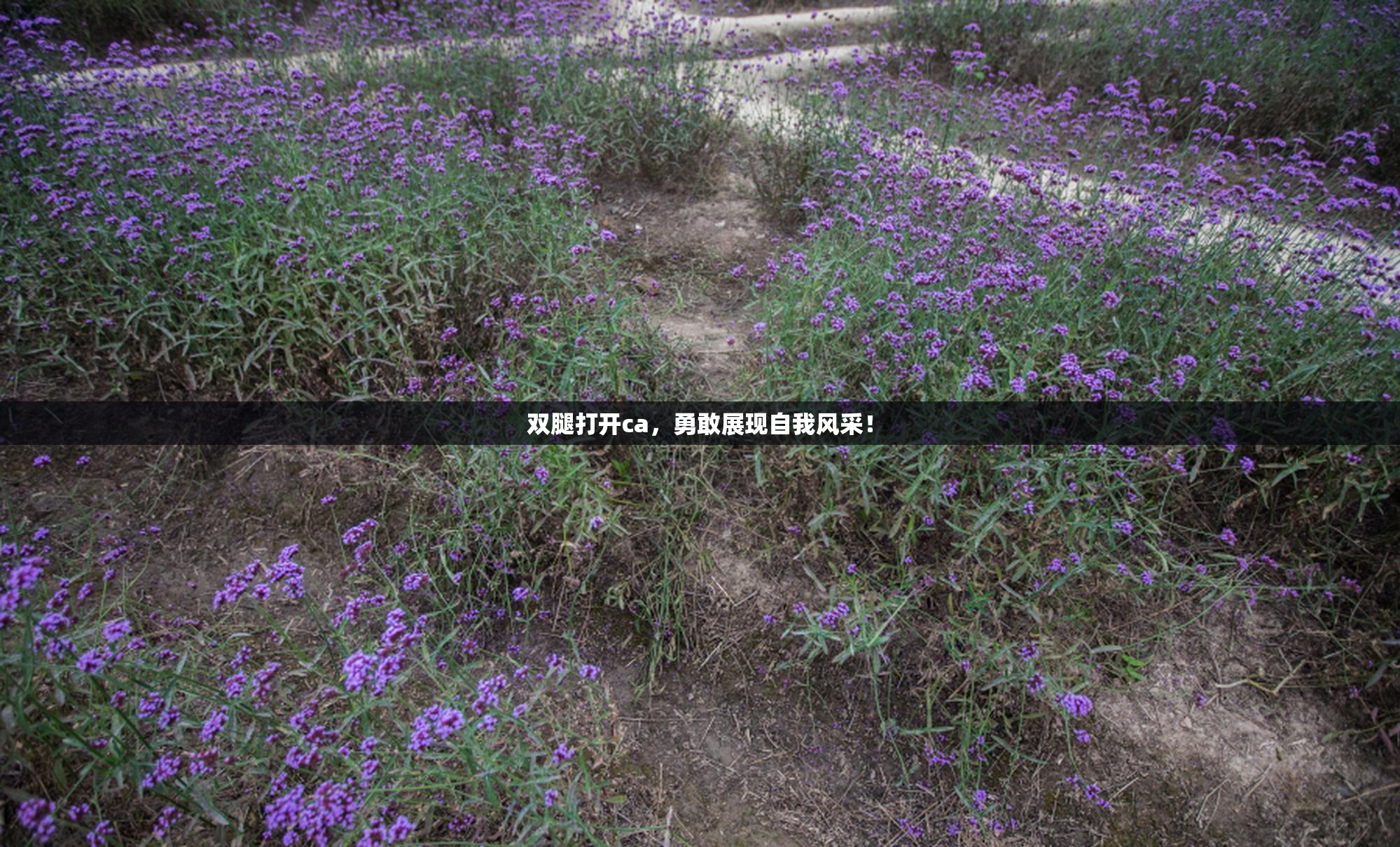 双腿打开ca，勇敢展现自我风采！