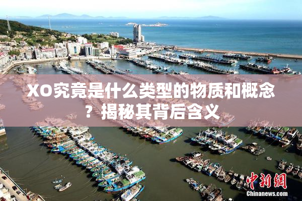 XO究竟是什么类型的物质和概念？揭秘其背后含义