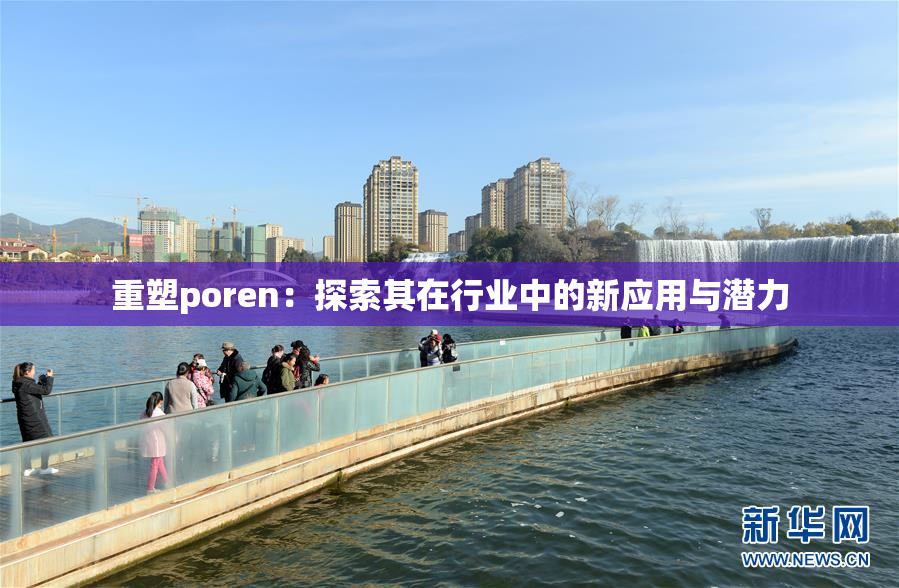 重塑poren：探索其在行业中的新应用与潜力