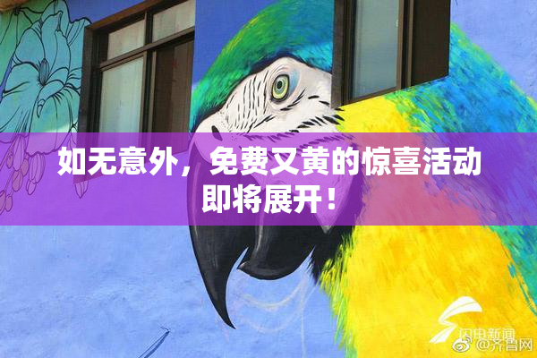 如无意外，免费又黄的惊喜活动即将展开！